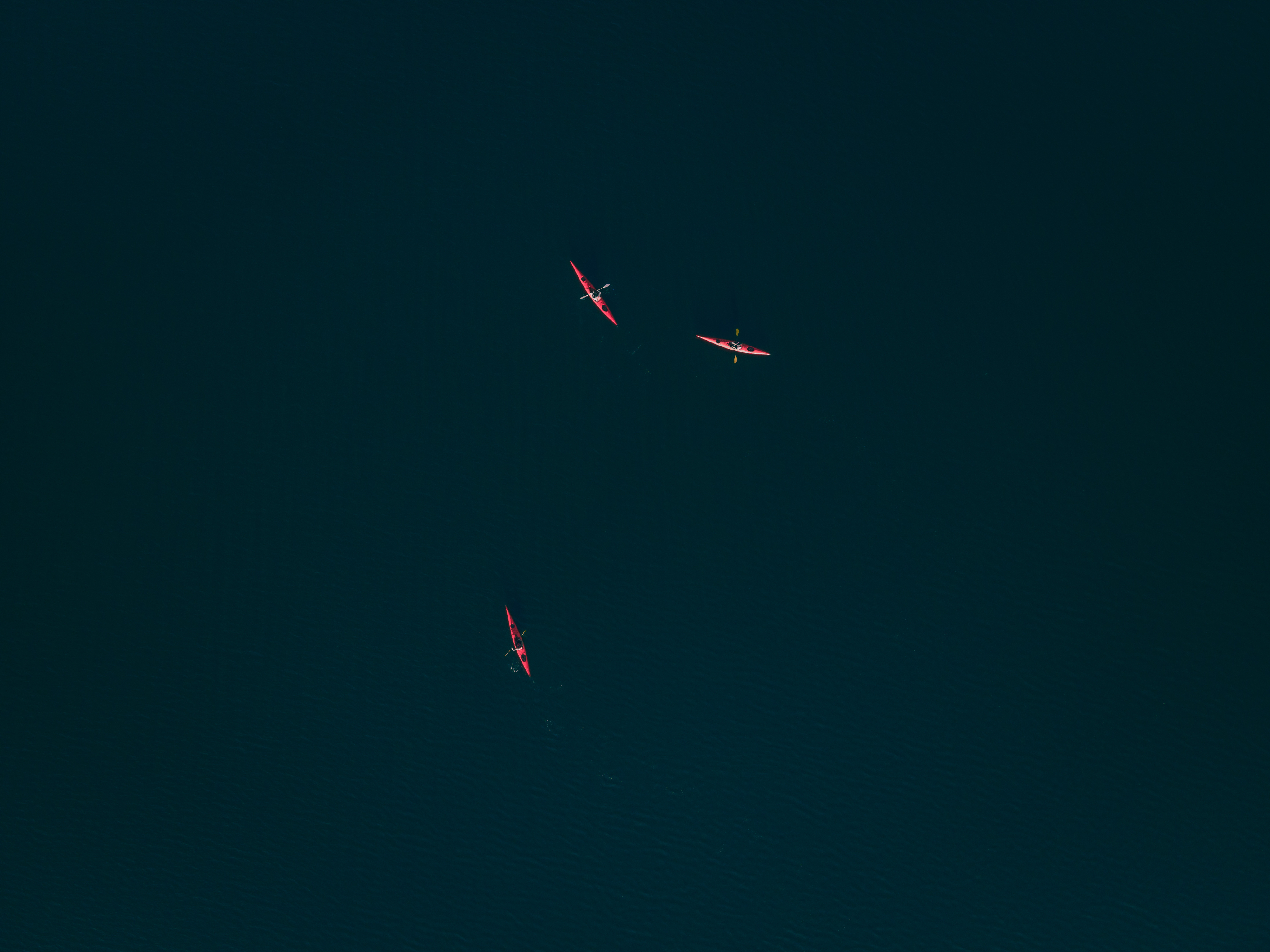 Aerial view of kayaks